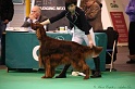 Crufts2011 852